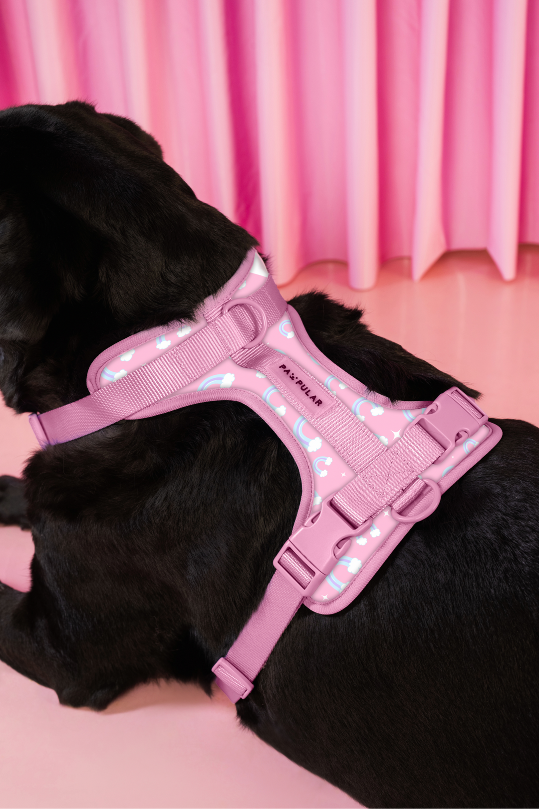 Body Harness - Pink