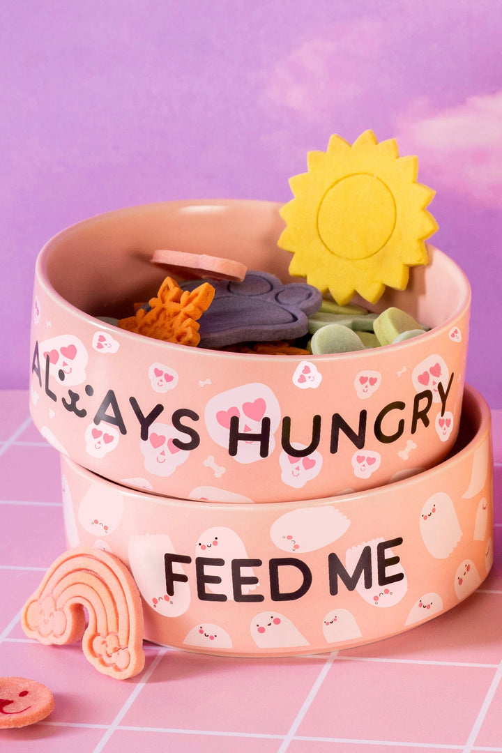 Ceramic Food Bowls (Always Hungry)