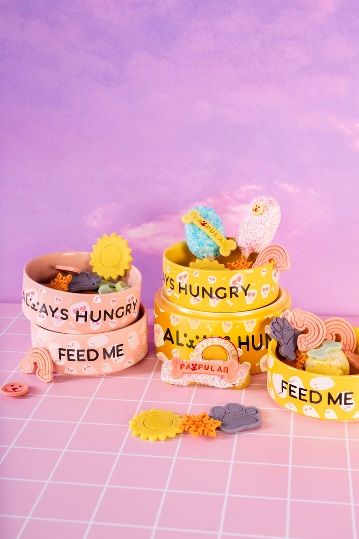 Ceramic Food Bowls (Always Hungry)