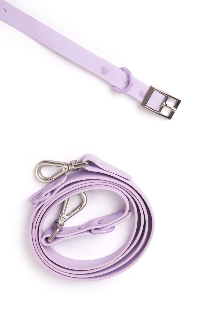 Leash - Purple