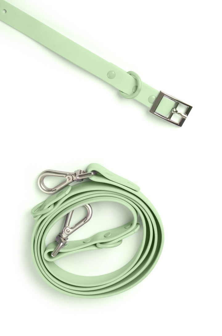 Leash - Green