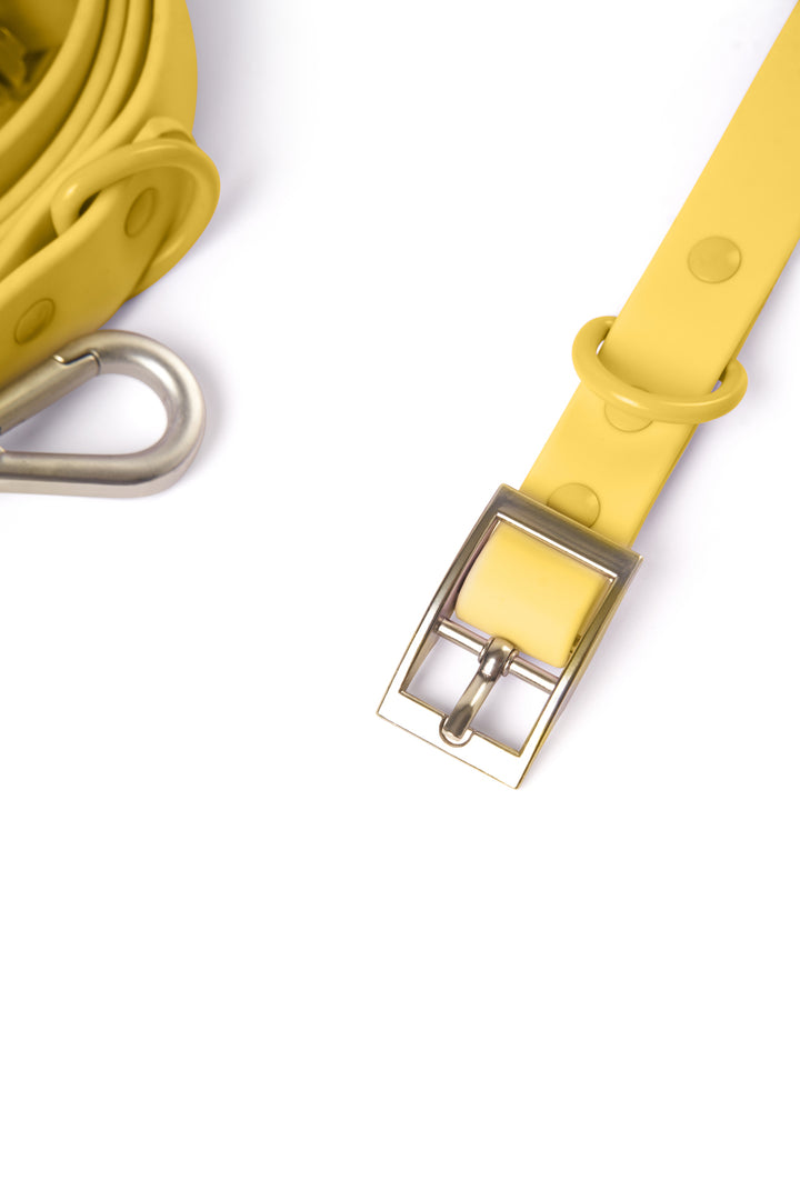 Collar - Yellow