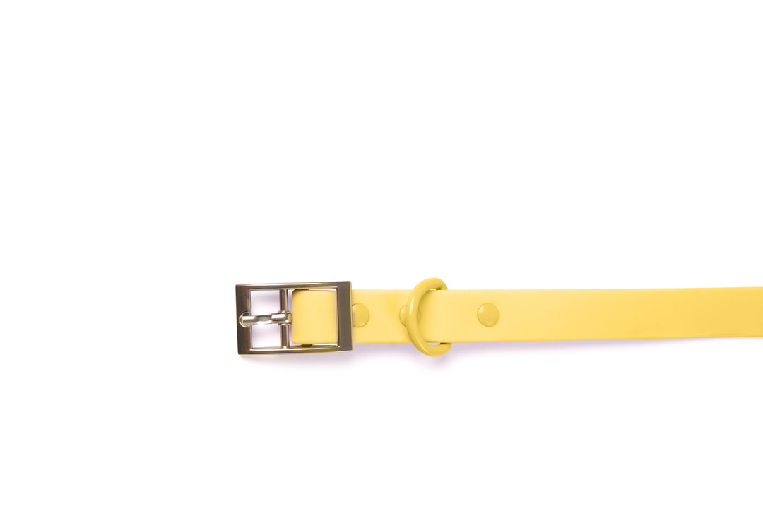 Collar - Yellow