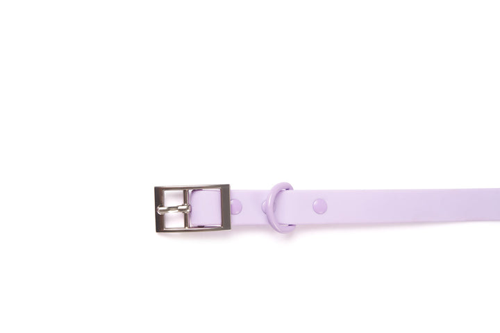 Collar - Purple