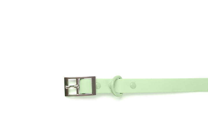 Collar - Green