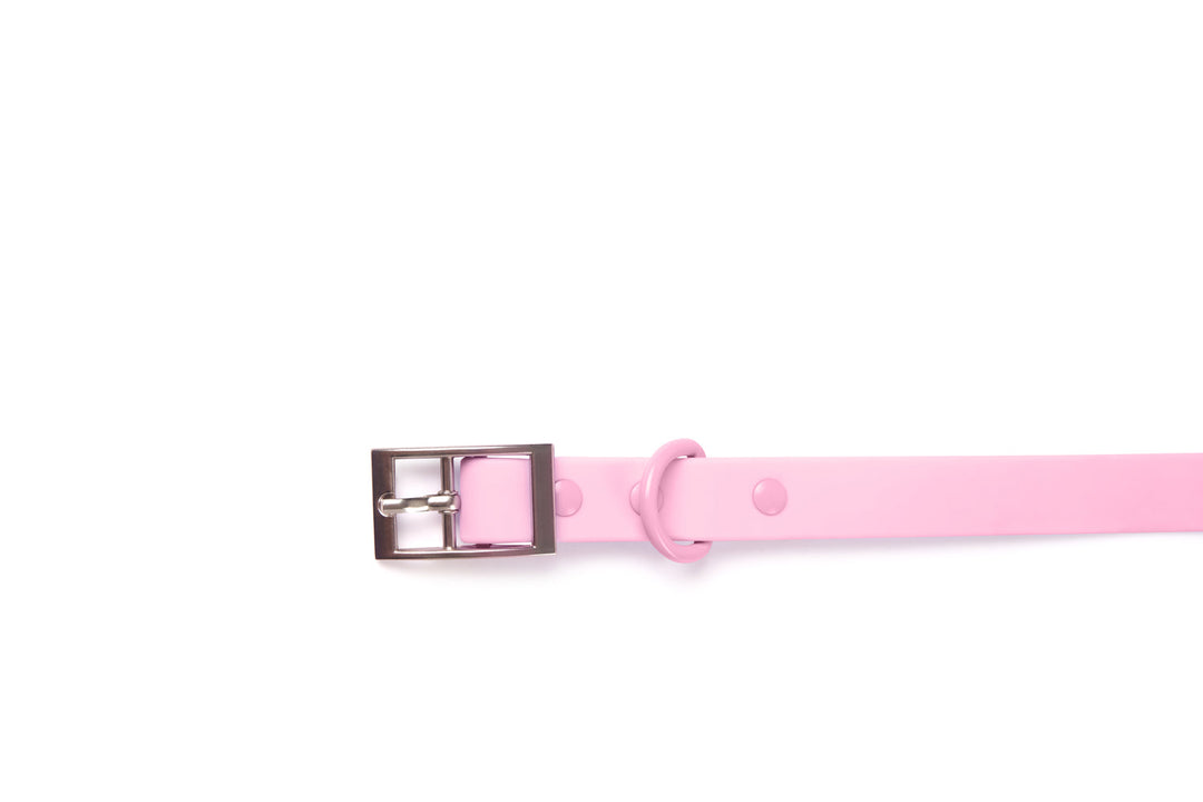 Collar - Pink